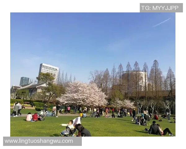 普吉岛足球明星的传奇故事与成就揭秘